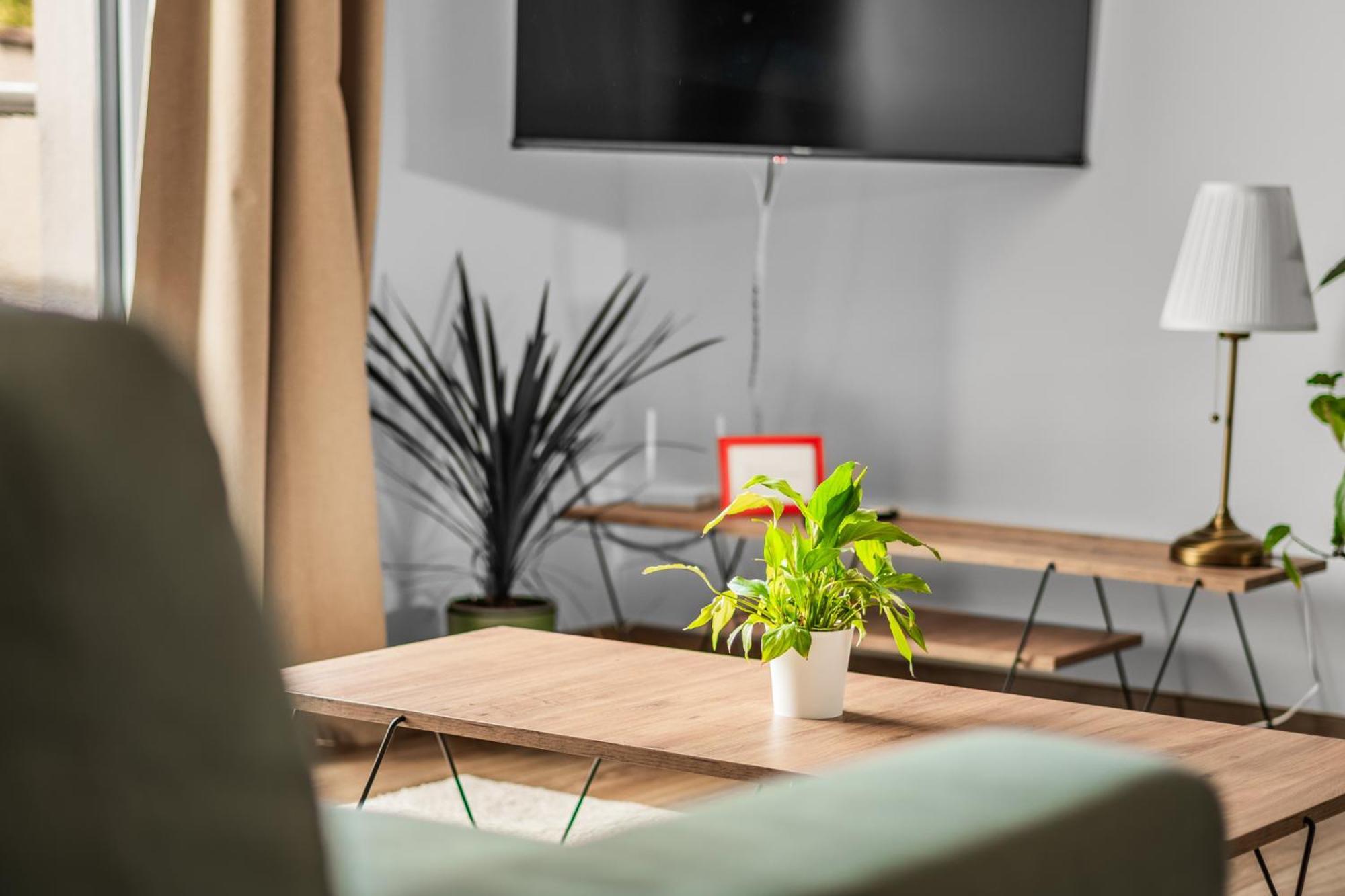 Apartman Anna Nové Město nad Metují Εξωτερικό φωτογραφία
